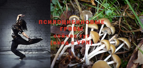 PSILOCYBIN Алексин